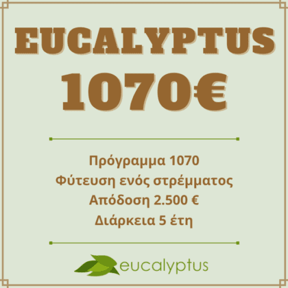 Επενδυτικό πρόγραμμα Eucalyptus 1070 με απόδοση 2.500 ευρώ στα 5 έτη