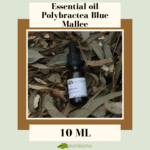 Βιολογικό αιθέριο έλαιο ευκαλύπτου Polybractea Blue Mallee σε μπουκαλάκι 10 ml