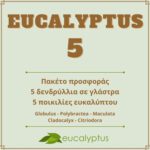 Πακέτο προσφοράς Eucalyptus. 5 δενδρύλλια σε γλάστρα με 5 διαφορετικές ποικιλίες ευκαλύπτου σε μοναδική τιμή με έκπτωση 30% στο συνολικό ποσό.