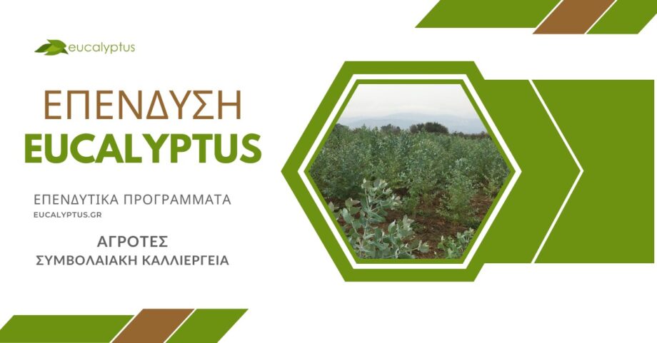 Eucalyptus - Επενδυτικά Προγράμματα - Αγρότες